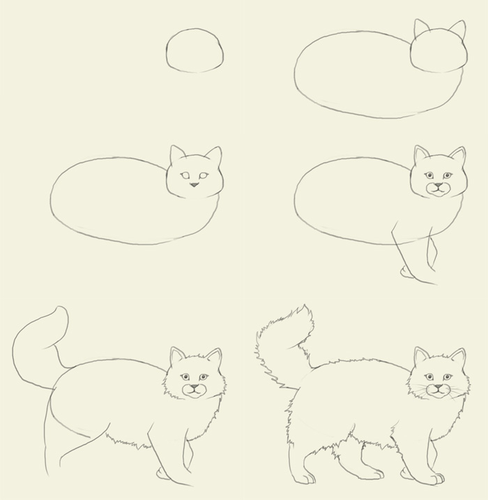 Easy cat drawing step by step - senturinmiles