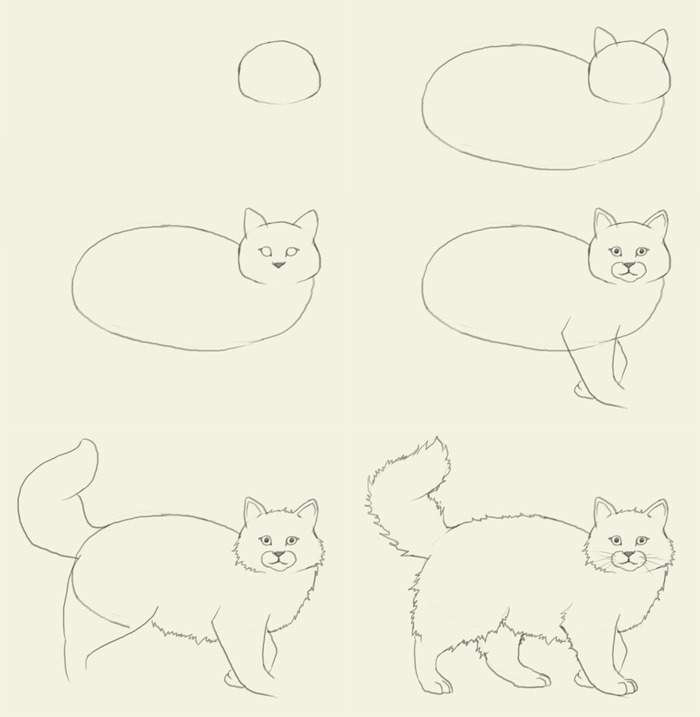 easy cat drawing step by step