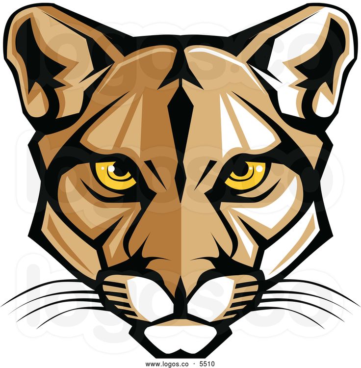 Easy Cougar Drawing at GetDrawings Free download