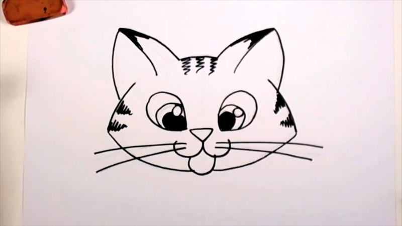 Easy Head Easy Cat Face Drawing - leafonsand