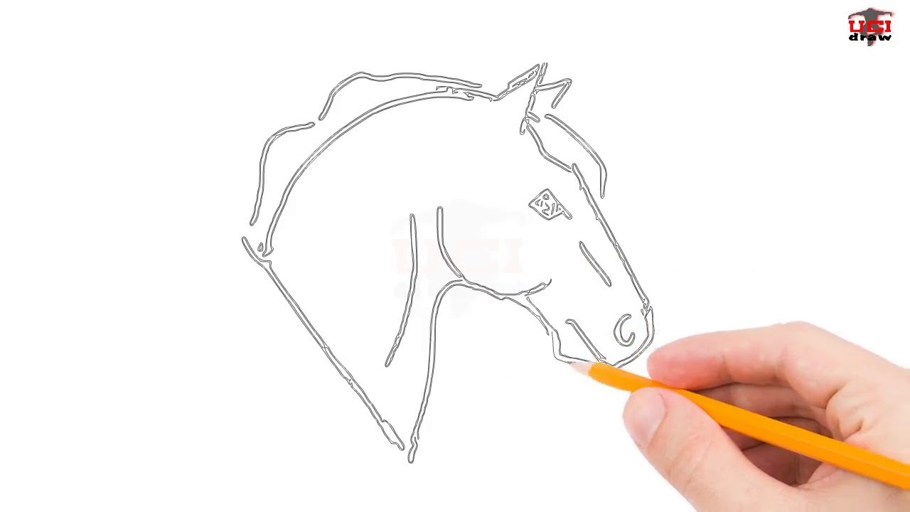 Pencil Easy Simple Horse Head Drawing - Goimages Talk