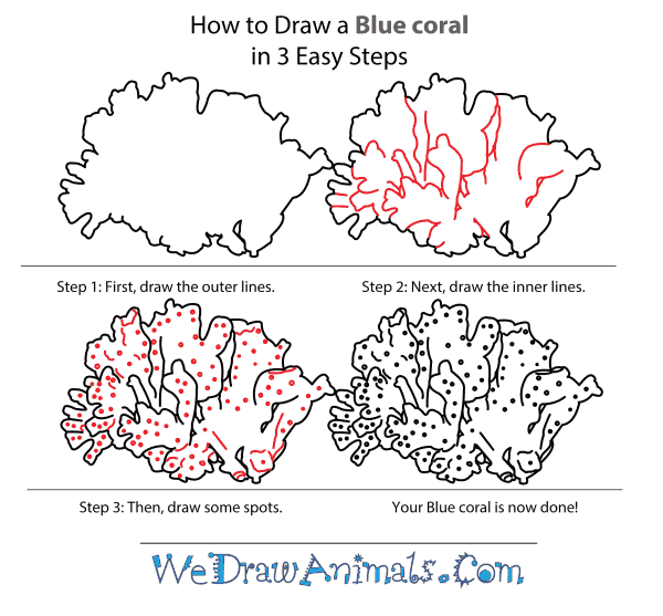 Easy Drawing Of Coral Reef At Getdrawings Com Free For.