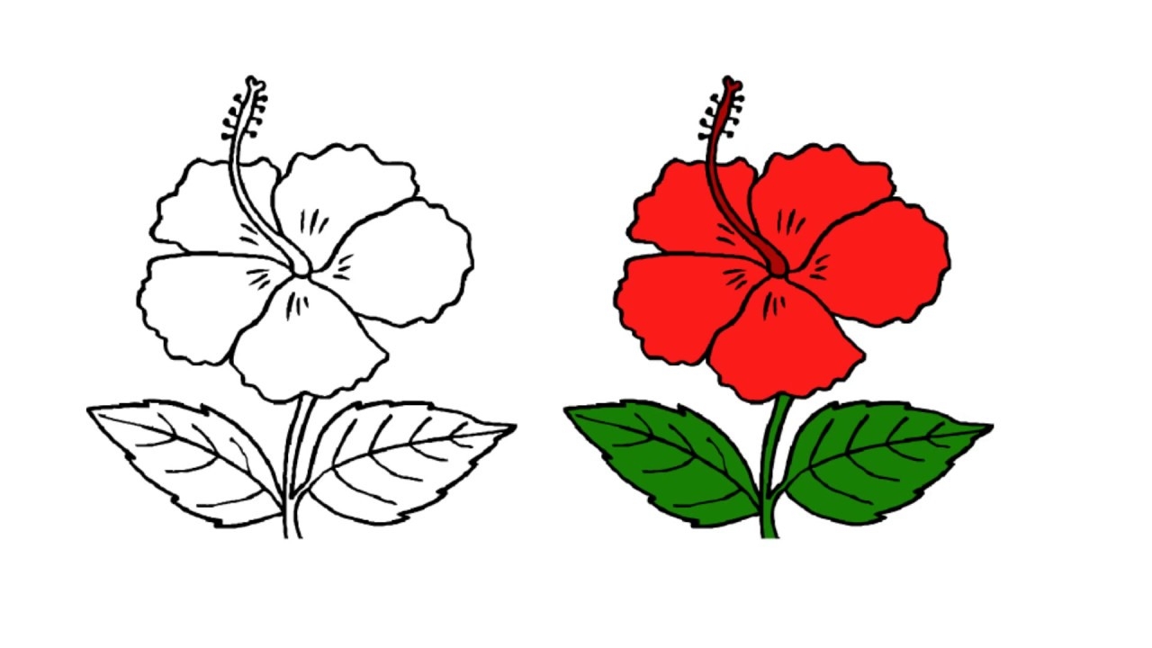 Easy Drawing Pictures Of Flowers