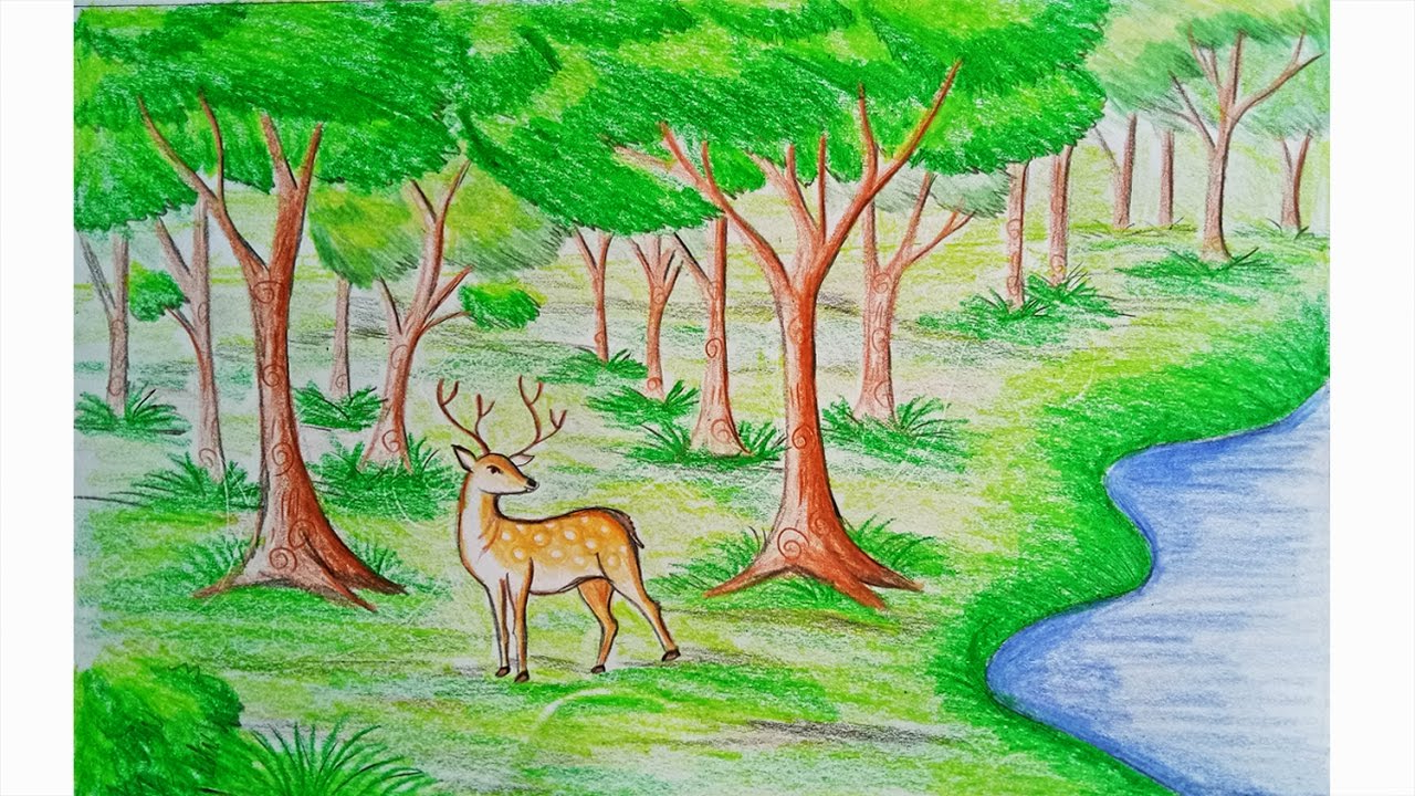 Easy Forest Drawing at GetDrawings | Free download