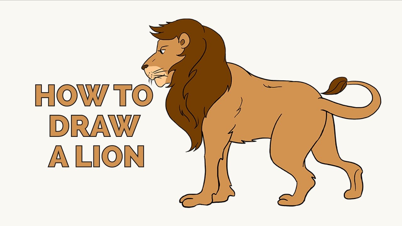 How To Draw A Lion Step By Step Drawing Guide Easy Pe - vrogue.co