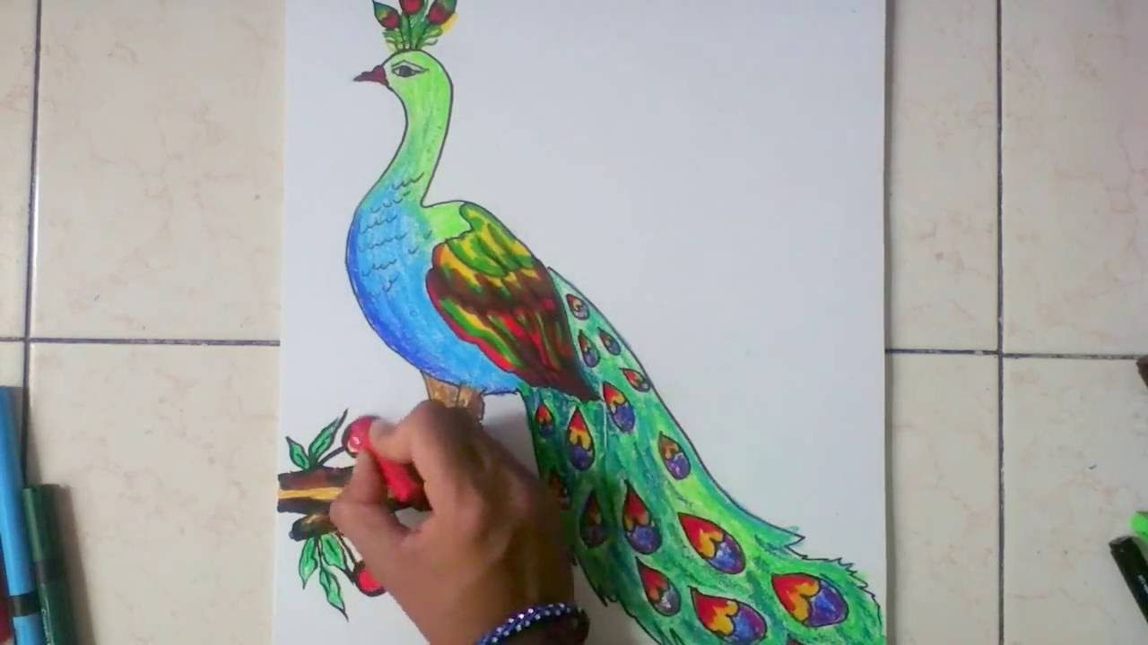  How To Draw A Beautiful Peacock Step By Step of the decade Check it out now 