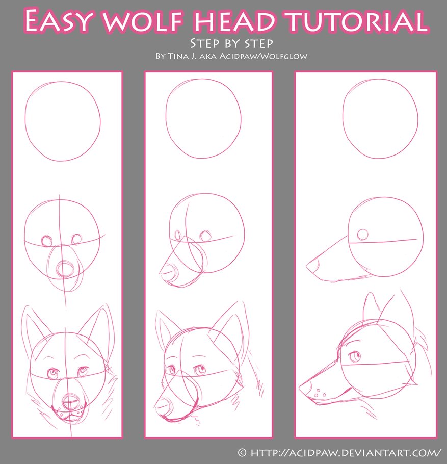 Easy Wolf Drawing Step By Step at GetDrawings Free download