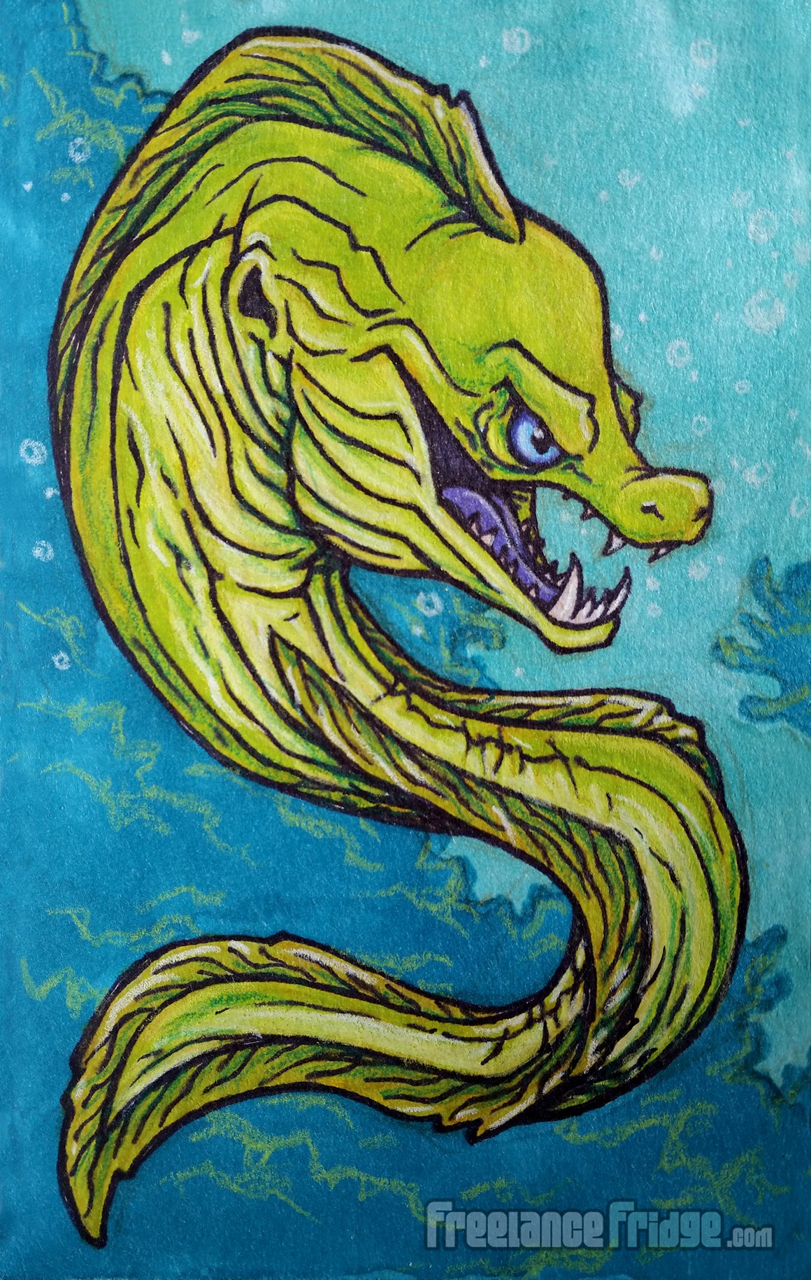 Eel Drawing at GetDrawings | Free download