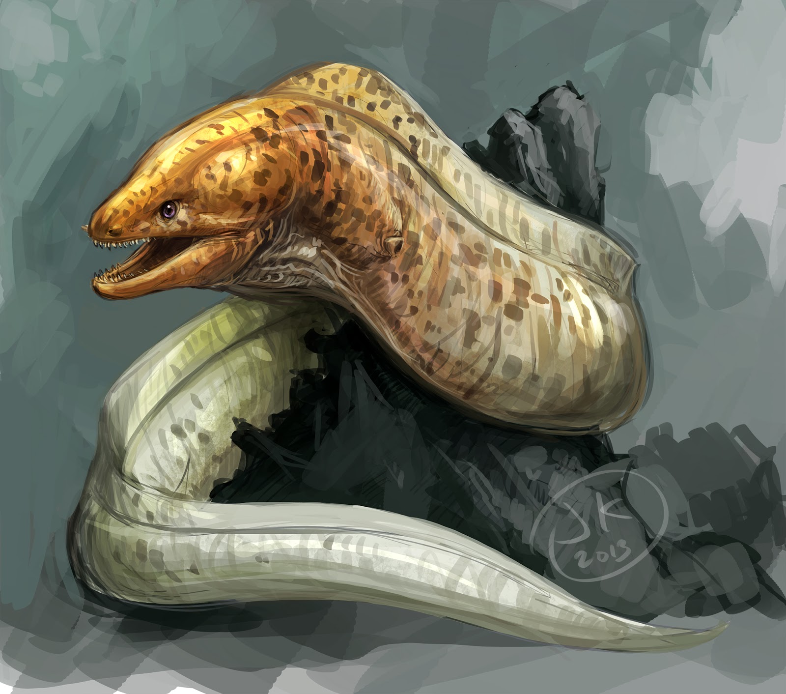 The best free Moray drawing images. Download from 52 free drawings of