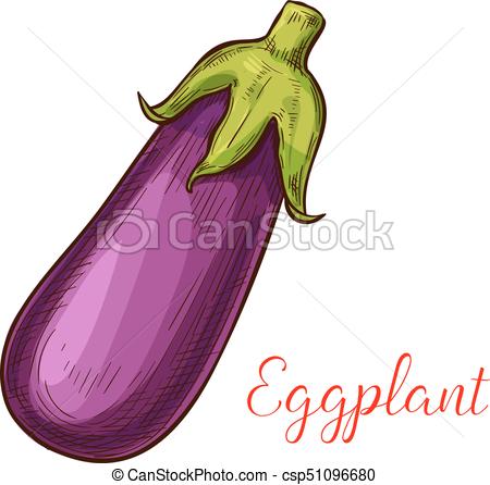 Eggplant Drawing at GetDrawings | Free download