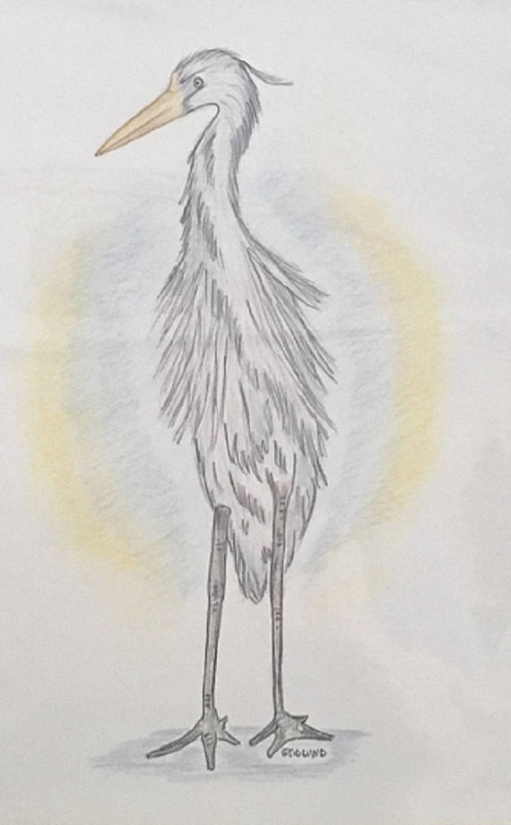 Egret Drawing at GetDrawings Free download