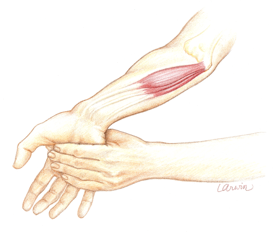 Elbow Drawing at GetDrawings | Free download