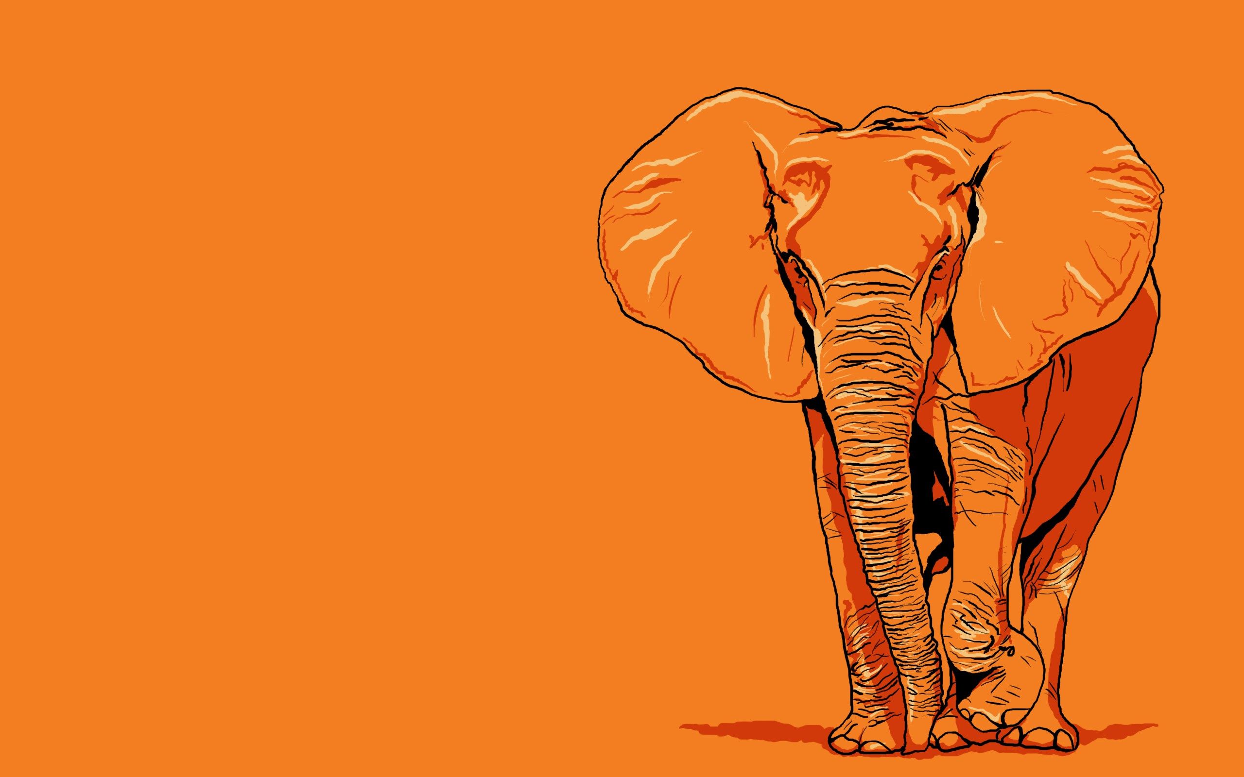 Elephant Drawing Wallpaper at GetDrawings | Free download