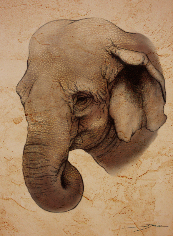 Elephant Face Drawing at GetDrawings | Free download