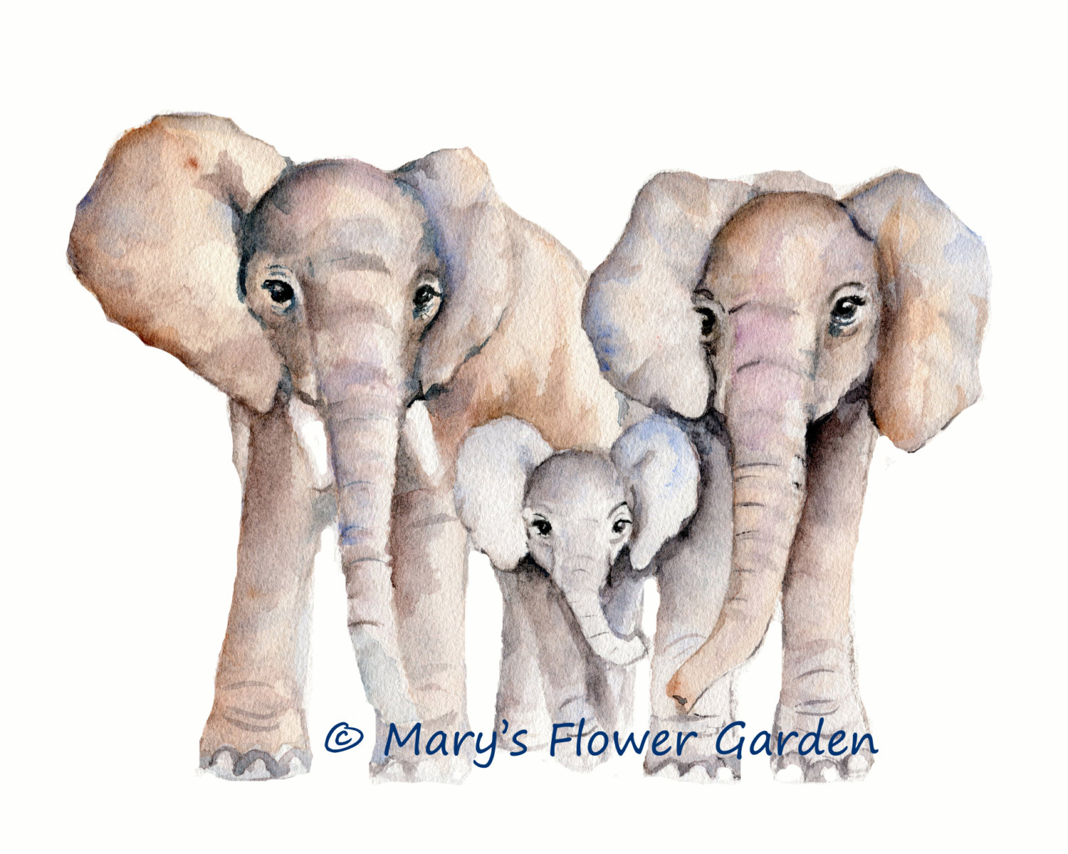 Elephant Family Drawing at GetDrawings Free download