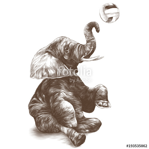 Elephant Sitting Drawing at GetDrawings Free download