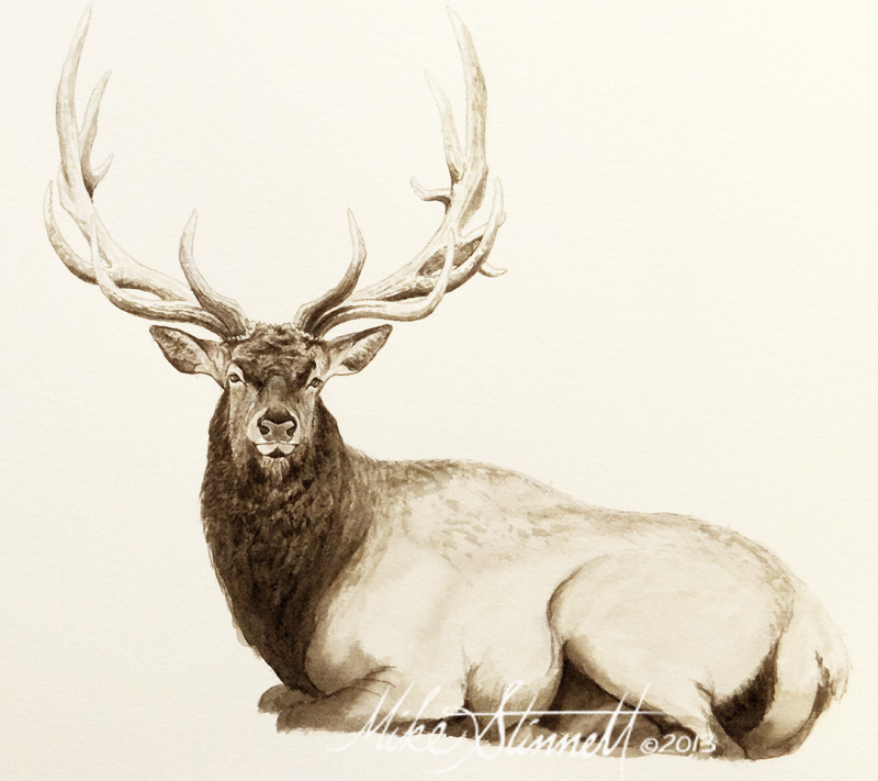 Elk Head Drawing at GetDrawings Free download