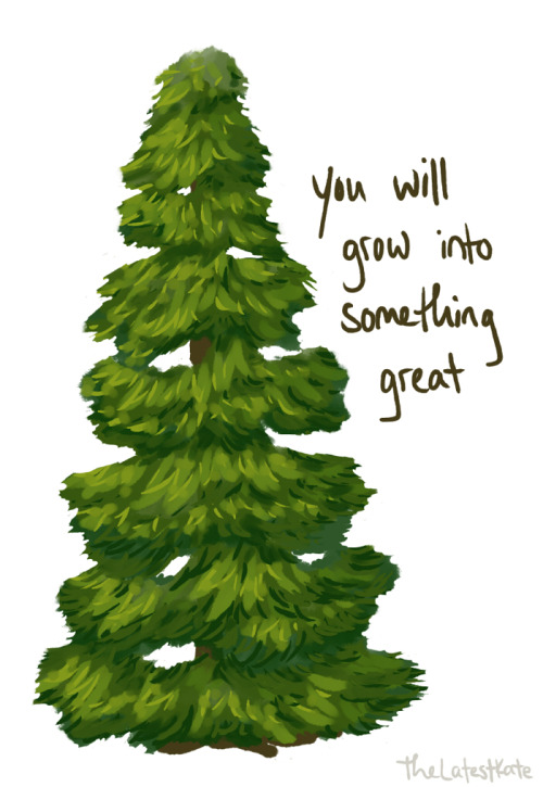 Evergreen Drawing At Getdrawings Free Download