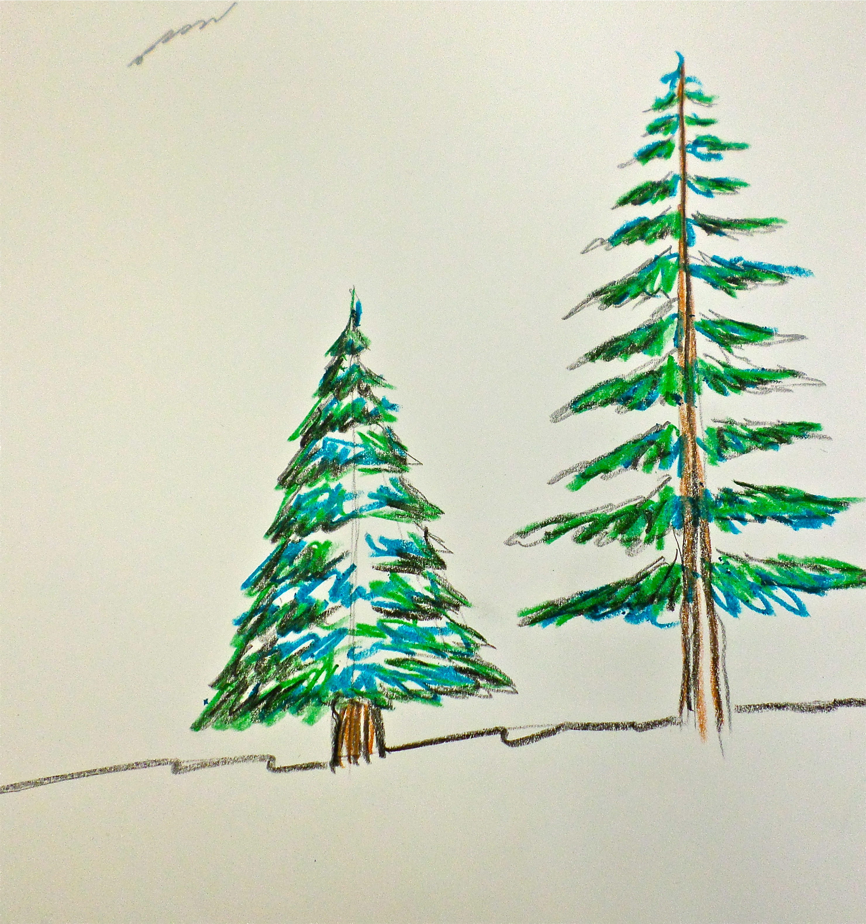 Evergreen Drawing at GetDrawings Free download