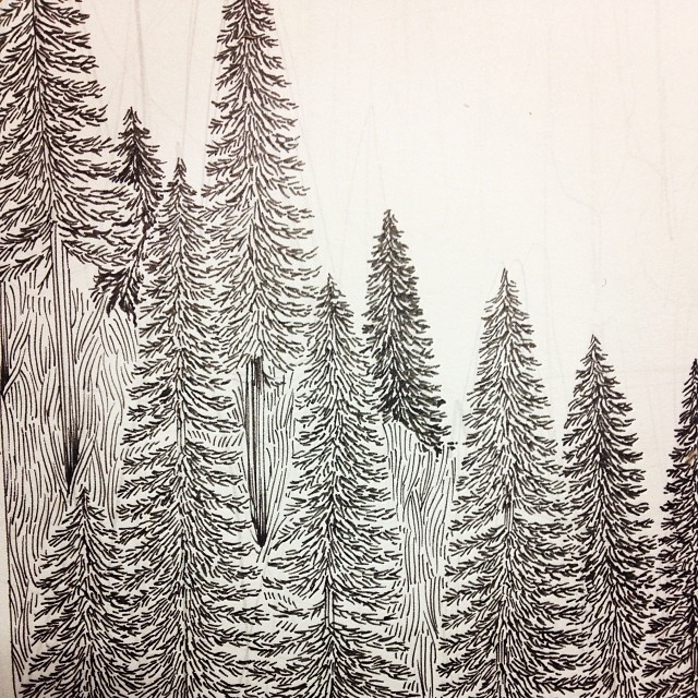 Evergreen Trees Drawing at GetDrawings Free download