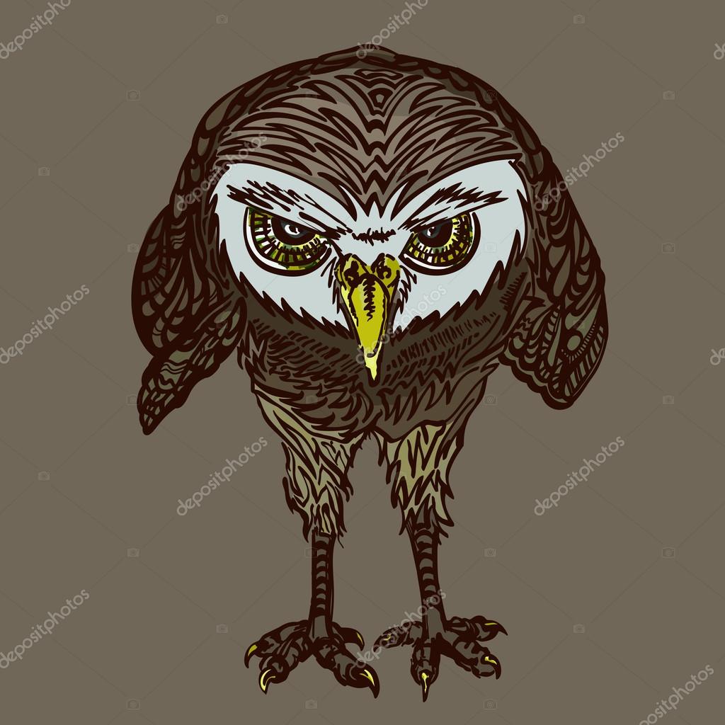 Evil Owl Drawing at GetDrawings Free download