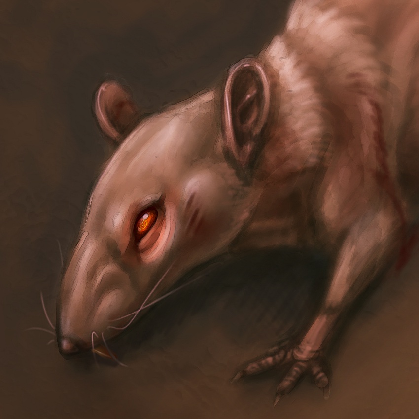 Evil Rat Drawing at GetDrawings Free download