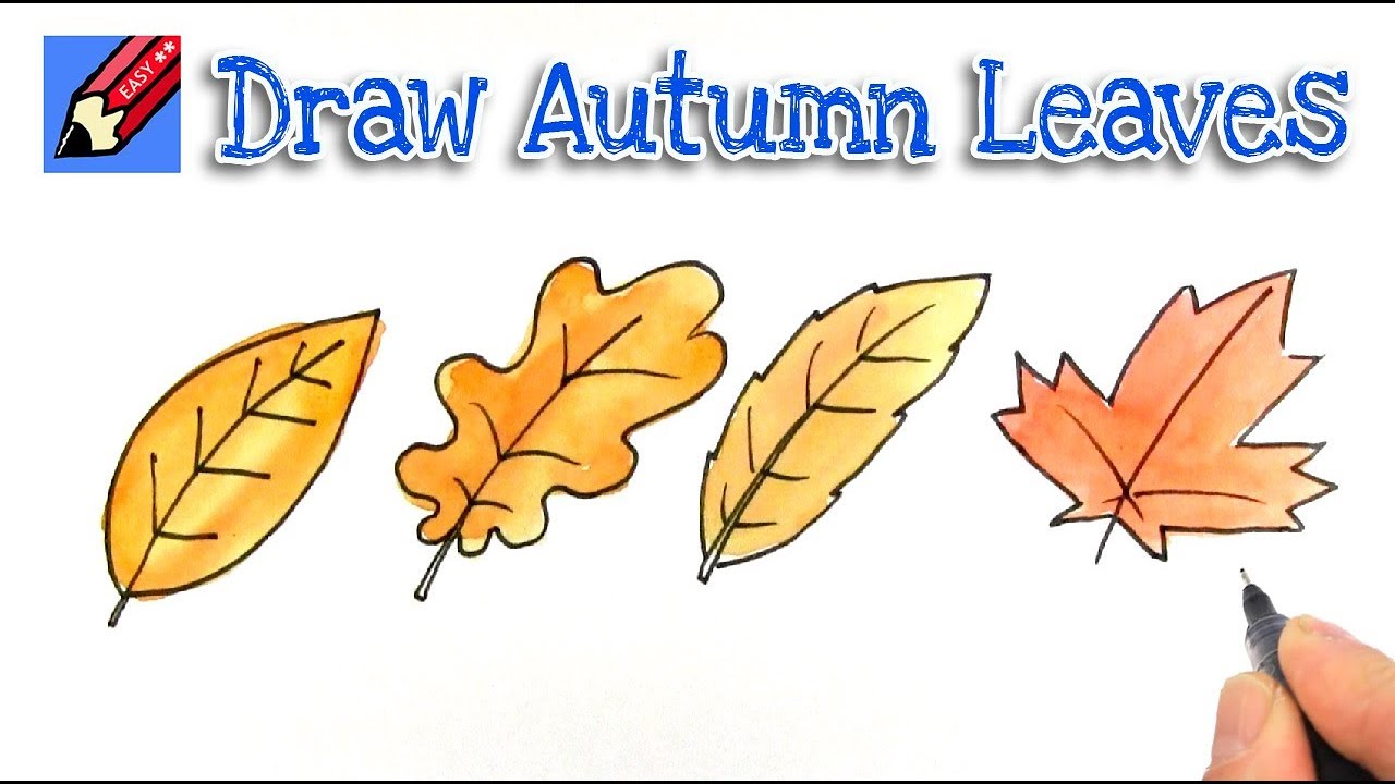 Falling Leaves Drawing at GetDrawings | Free download