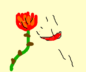 Falling Rose Petals Drawing at GetDrawings | Free download