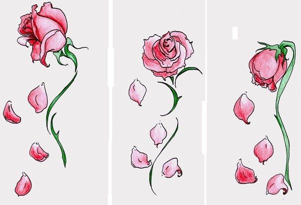 Falling Rose Petals Drawing at GetDrawings | Free download