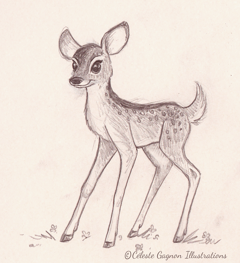 Fawn Drawing at GetDrawings Free download