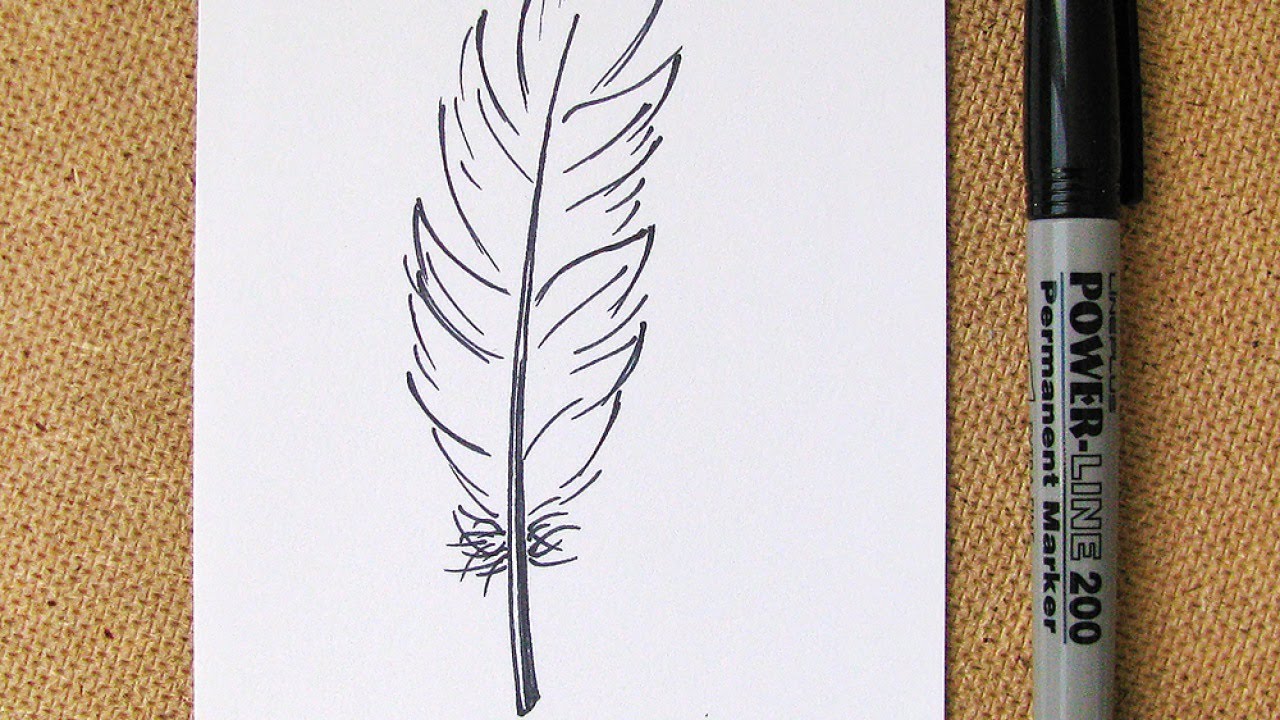 Feather Drawing Simple at GetDrawings Free download