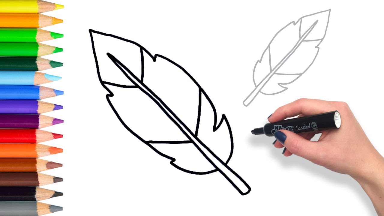 Feather Drawing Step By Step at GetDrawings Free download