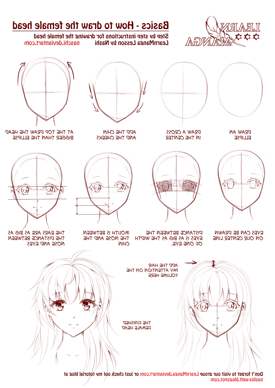 How To Draw A Anime Face Step By Step For Beginners / Anime anatomy