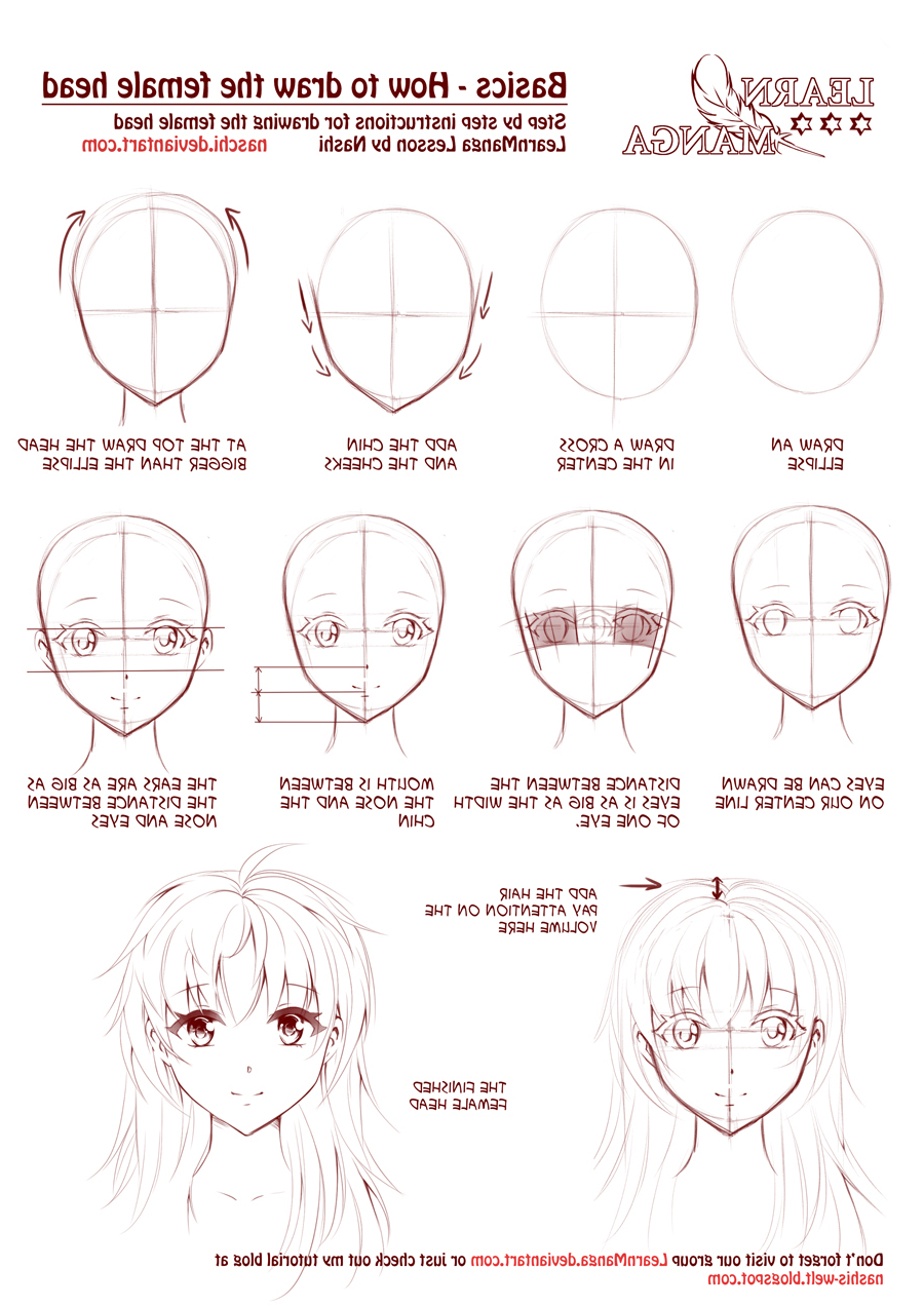 How To Draw A Anime Face Step By Step For Beginners Anime Anatomy Basic Drawing Tutorial