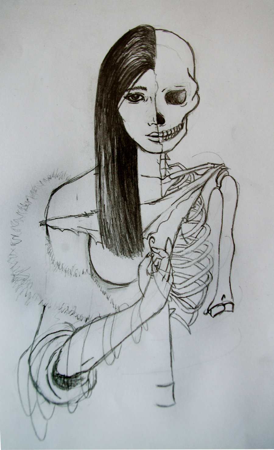 Female Skeleton Drawing at GetDrawings Free download