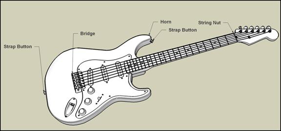 Creative Sketch Drawing Of Fender Guitar for Beginner