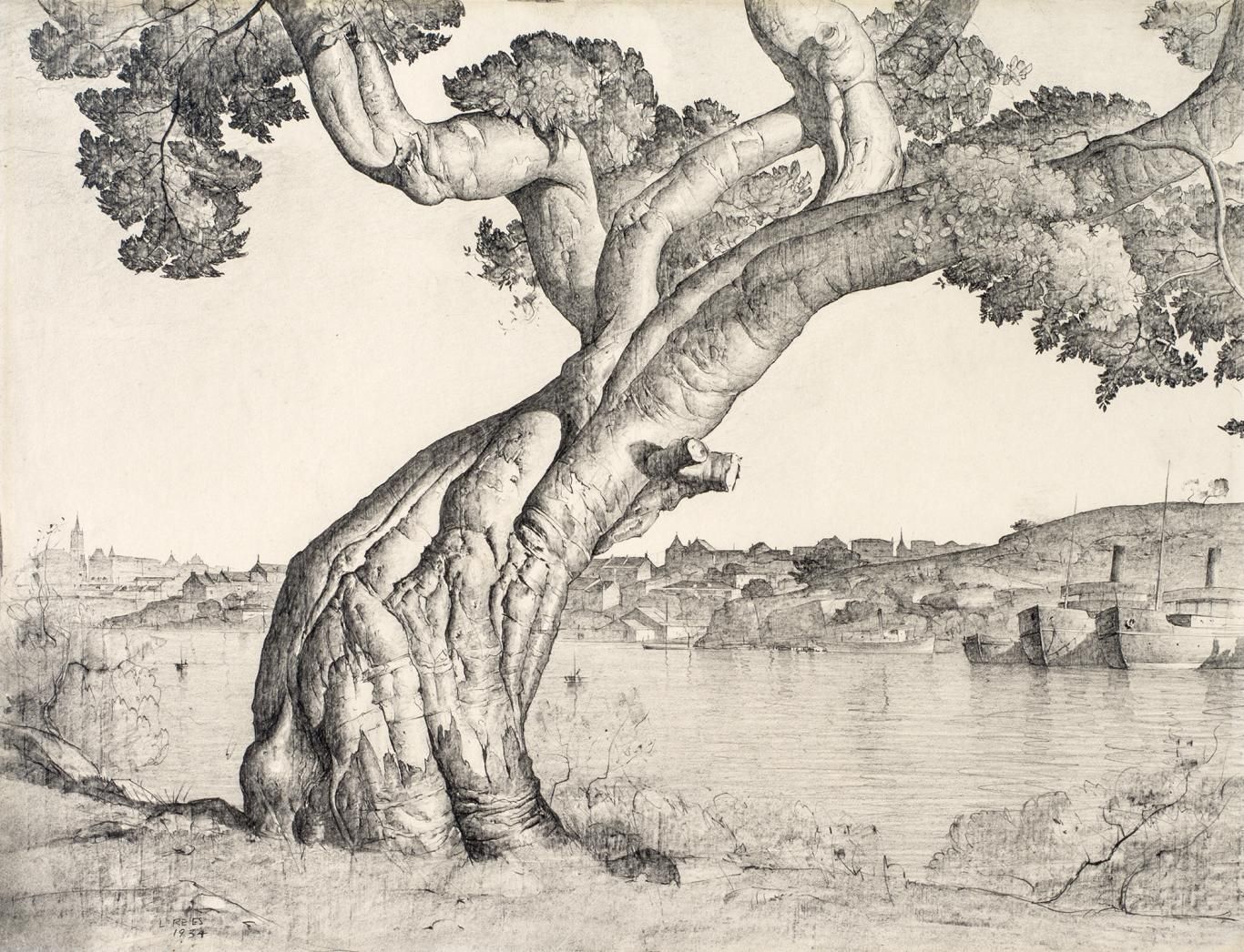 Fig Tree Drawing at GetDrawings Free download