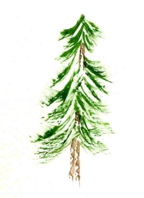 Fir Tree Drawing at GetDrawings | Free download