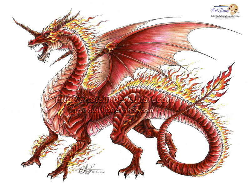 Fire Dragon Drawing At Getdrawings 