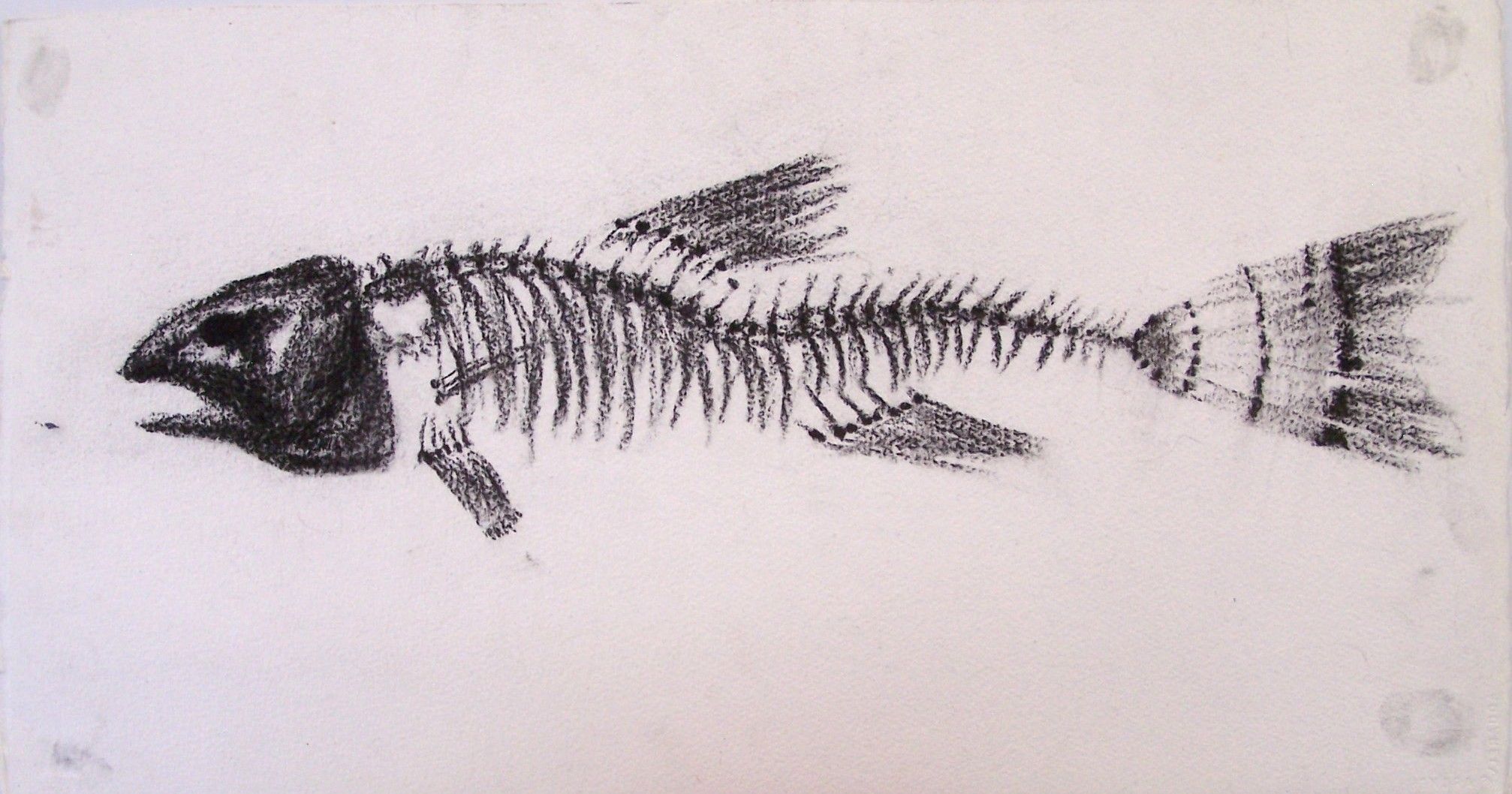 Скелет рыбы арт