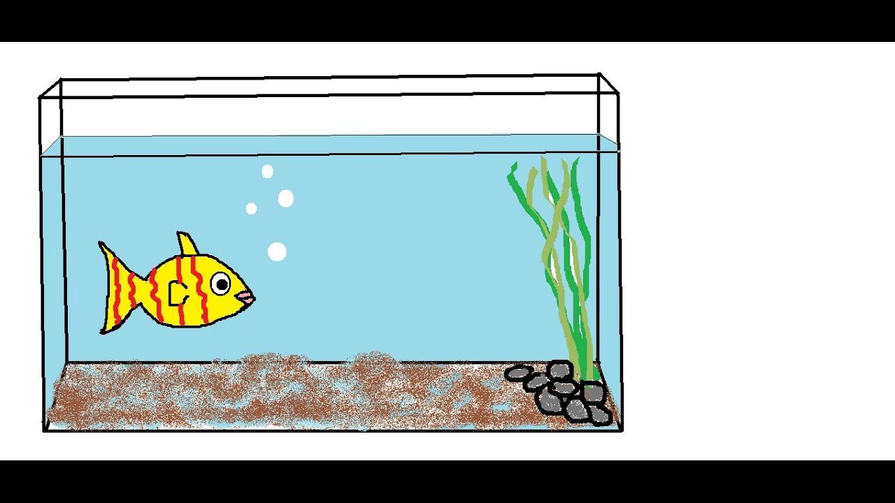 Fish Tank Drawing at GetDrawings | Free download