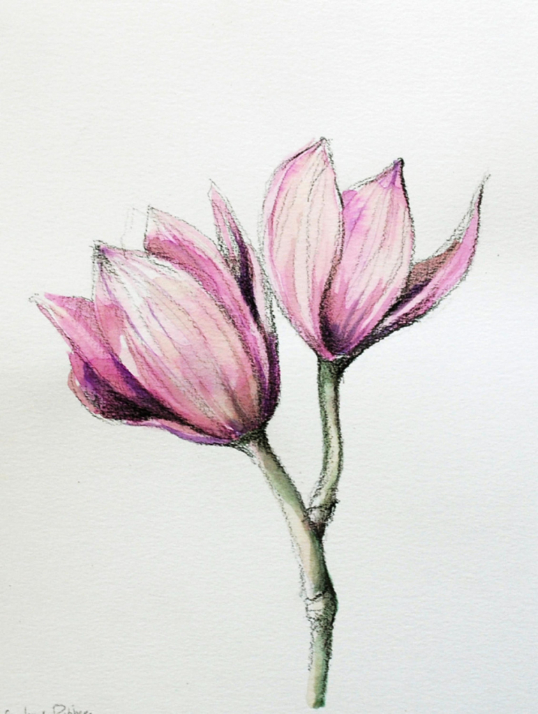 Flower Colour Pencil Drawing at GetDrawings | Free download