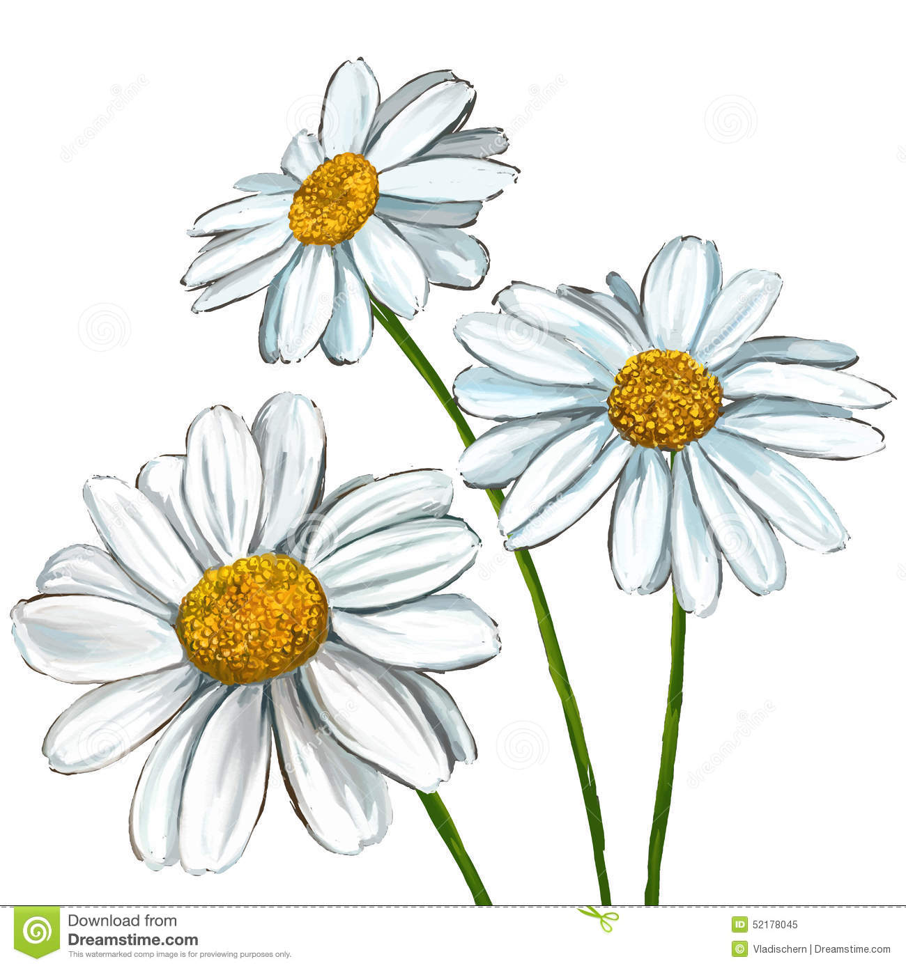 Albums 90+ Images pictures of daisies to draw Excellent