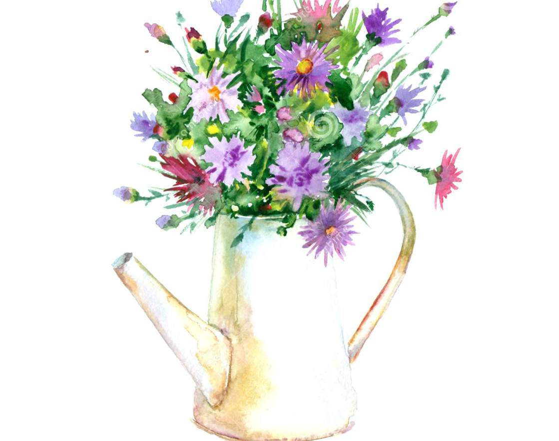 The Best Free Vase Drawing Images Download From 1558 Free