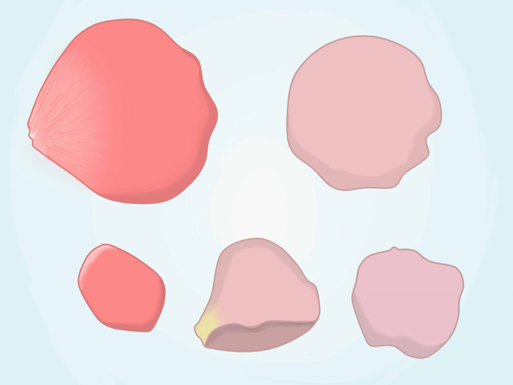 How To Draw Flower Petals In Illustrator