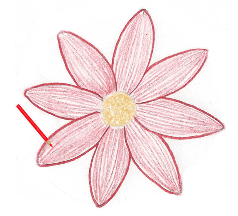 flower-petals-drawing-at-getdrawings-free-download