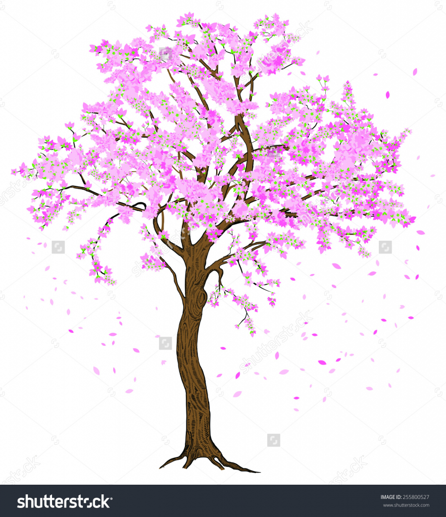 Flowering Tree Drawing at GetDrawings Free download