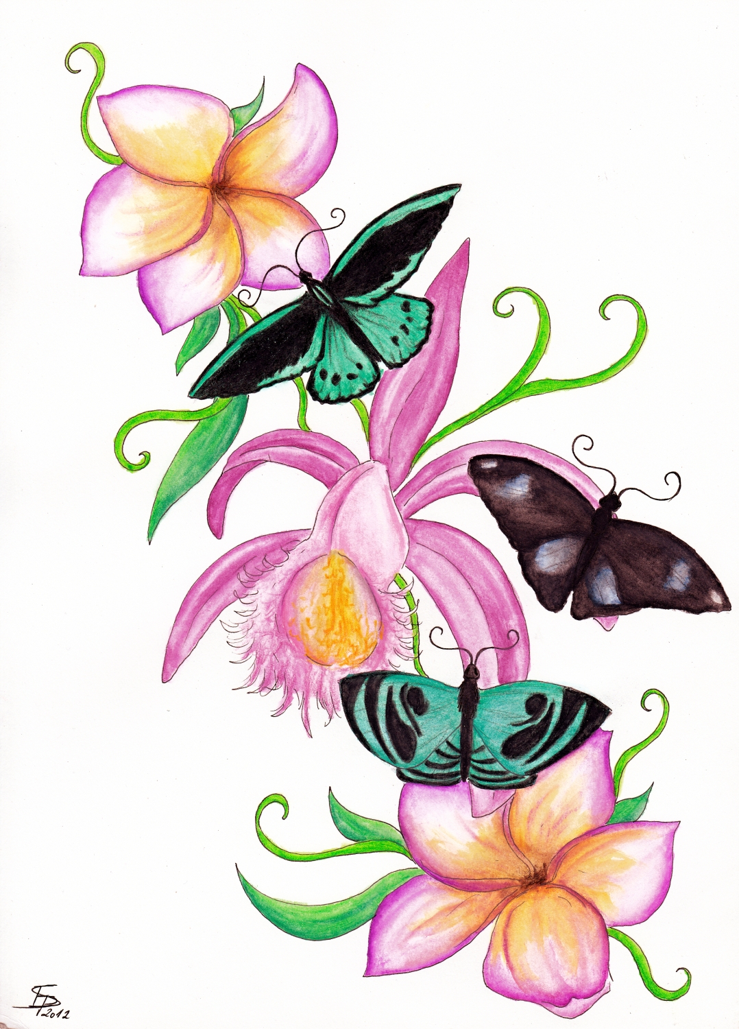 Flowers Drawing With Butterfly at Lear blog