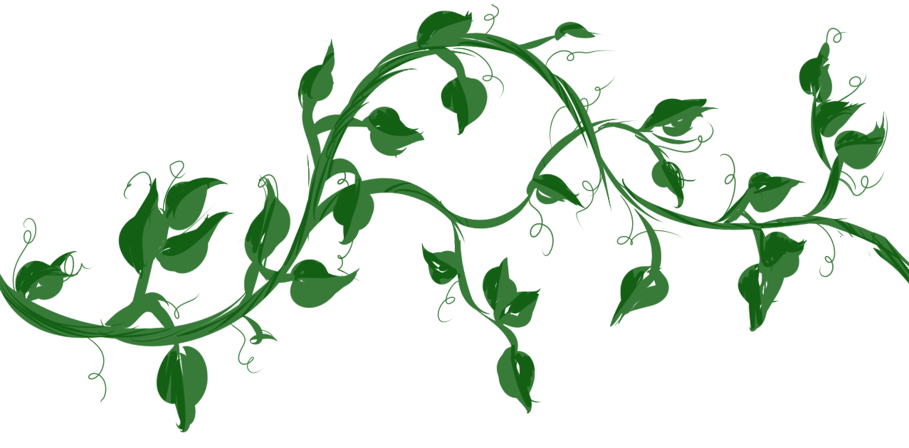 Flowers And Vines Drawing at GetDrawings | Free download