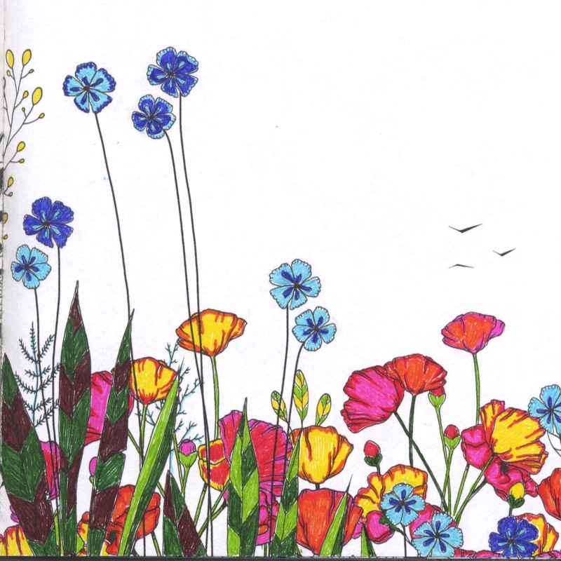 Flowers With Markers Drawing at GetDrawings Free download